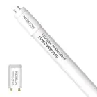 Noxion LED Röhre T8 Avant (EM/Mains) Standard Output 19W 2300lm - 840 Kaltweiß | 150cm - Ersatz Für 58W