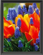 hohe Farbwiedergabestufe